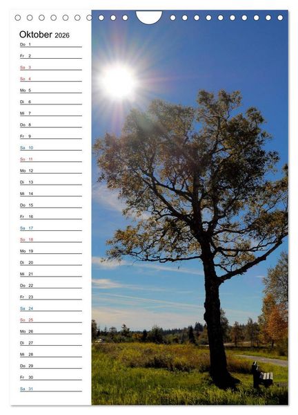 Produktbild: Schwarzwald (Wandkalender 2026 DIN A4 hoch), CALVENDO Monatskalender