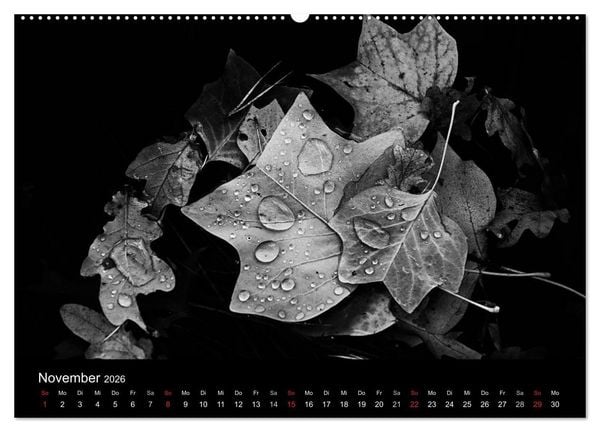 Produktbild: Das Licht in Schwarz und Wei&szlig; (hochwertiger Premium Wandkalender 2026 DIN A2 quer), Kunstdruck in Hochglanz