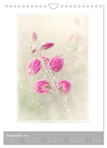 Produktbild: Kunstwerk Natur (Wandkalender 2026 DIN A4 hoch), CALVENDO Monatskalender