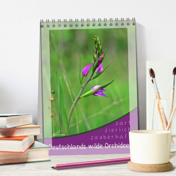 Produktbild: Deutschlands wilde Orchideen (Tischkalender 2026 DIN A5 hoch), CALVENDO Monatskalender