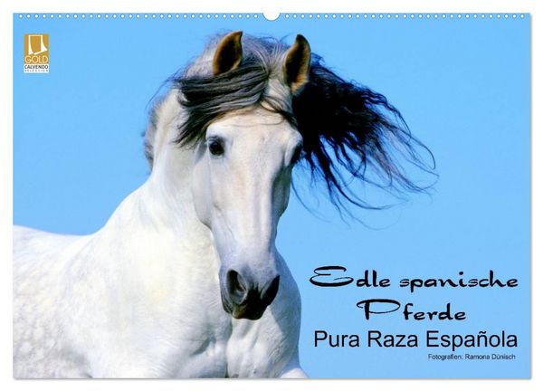 Produktbild: Edle spanische Pferde - Pura Raza Espanola (Wandkalender 2026 DIN A2 quer), CALVENDO Monatskalender