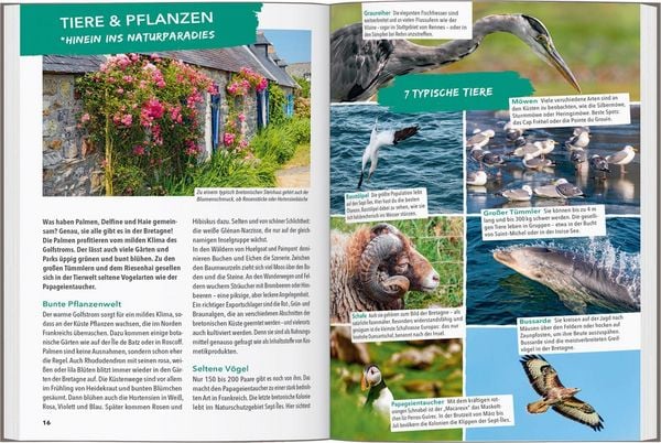 Produktbild: Marco Polo Outdoor Guide Reisef&uuml;hrer Bretagne