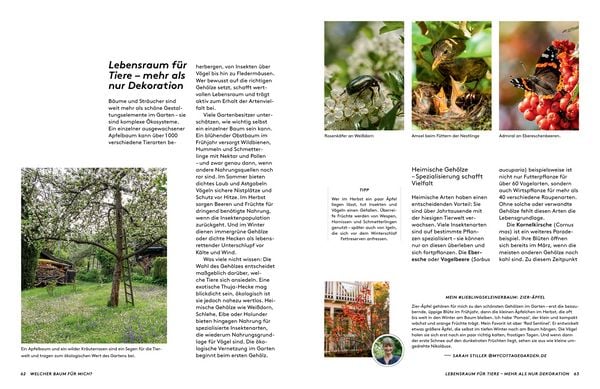 Produktbild: Kleine B&auml;ume f&uuml;r den Garten