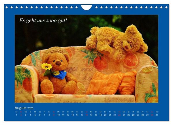 Produktbild: Sommer im Teddy-Land. B&auml;r und Freunde (Wandkalender 2026 DIN A4 quer), CALVENDO Monatskalender