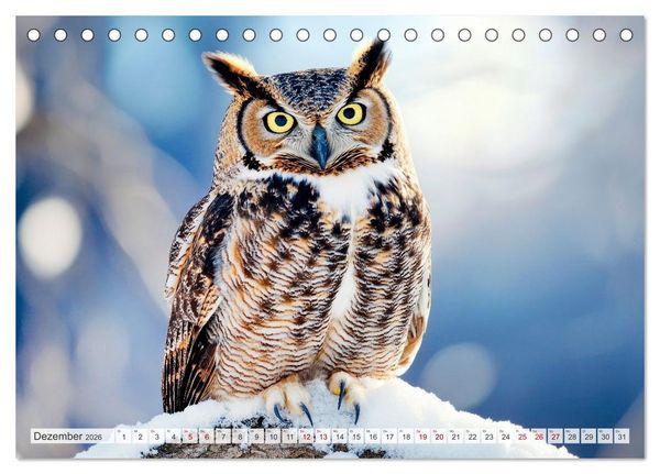Produktbild: EULEN W&auml;chter des Waldes (Tischkalender 2026 DIN A5 quer), CALVENDO Monatskalender