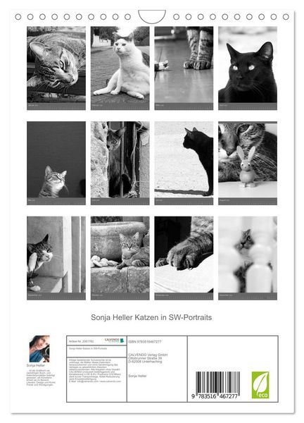 Produktbild: Sonja Heller Katzen in SW-Portraits (Wandkalender 2026 DIN A4 hoch), CALVENDO Monatskalender