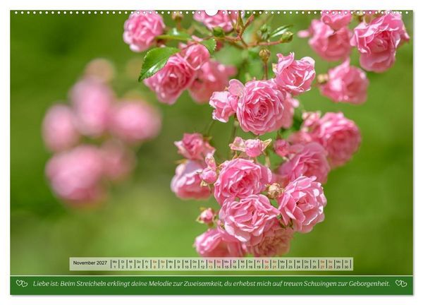Produktbild: Rosen, Liebe ist (hochwertiger Premium Wandkalender 2027 DIN A2 quer), Kunstdruck in Hochglanz