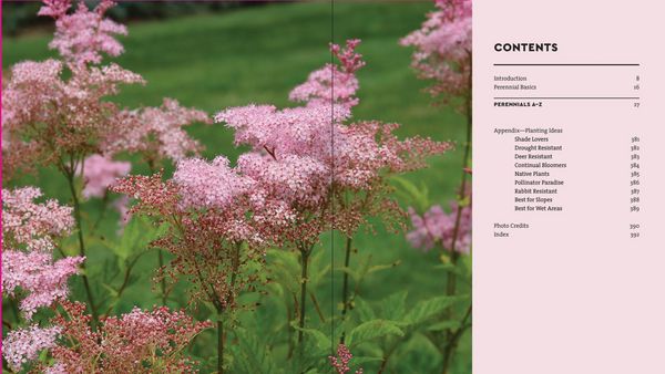 Produktbild: Perennials for the Midwest
