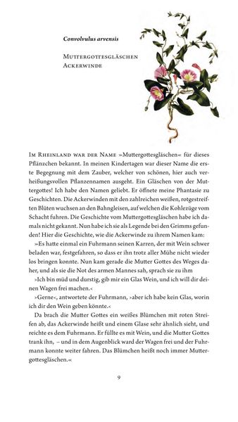 Produktbild: Jungfer im Gr&uuml;nen und Tausendg&uuml;ldenkraut