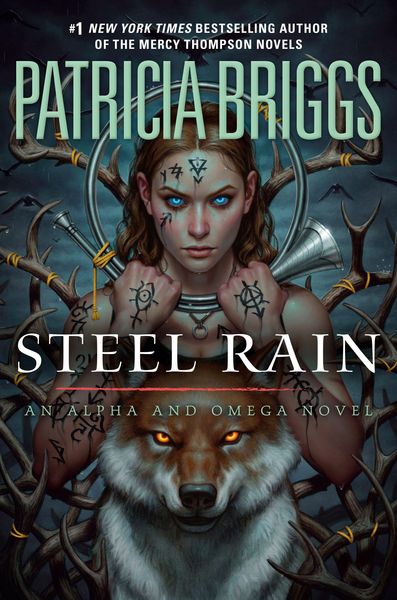 Produktbild: Steel Rain