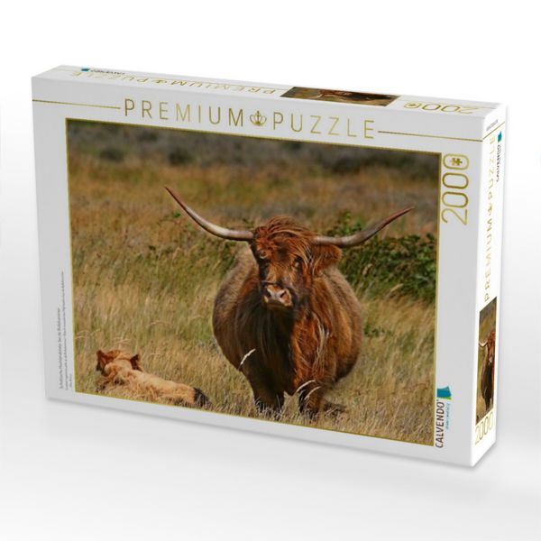 Produktbild: Schottische Hochlandrinder bei de Bollekammer (Puzzle)