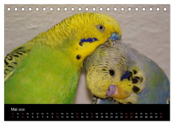 Produktbild: Die Welt der Haustiere (Tischkalender 2026 DIN A5 quer), CALVENDO Monatskalender