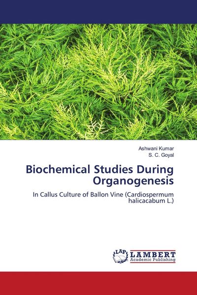 Produktbild: Biochemical Studies During Organogenesis