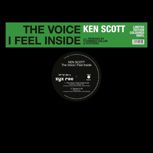 Produktbild: The Voice I Feel Inside, 1 Schallplatte (Maxi Vinyl)