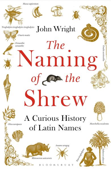 Produktbild: The Naming of the Shrew