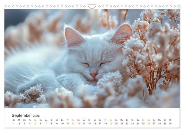 Produktbild: Katzen - Kalender f&uuml;r alle Miezenfans (Wandkalender 2026 DIN A3 quer), CALVENDO Monatskalender