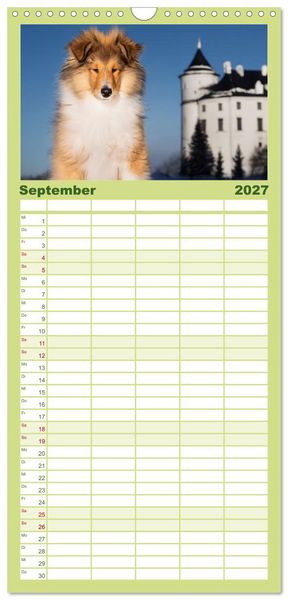 Produktbild: Familienplaner 2027 - Traumhund Collie - Mein bester Freund mit 5 Spalten (Wandkalender, 21 x 45 cm) CALVENDO