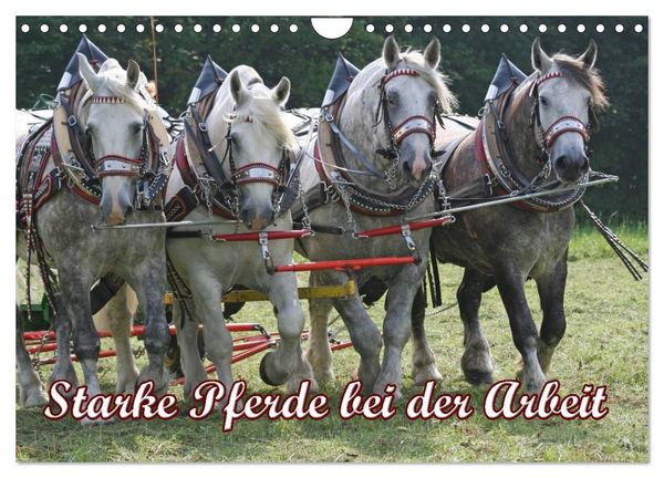 Produktbild: Starke Pferde bei der Arbeit (Wandkalender 2026 DIN A4 quer), CALVENDO Monatskalender