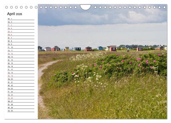 Produktbild: Insel &AElig;r&oslash; - Perle der D&auml;nischen S&uuml;dsee (Wandkalender 2026 DIN A4 quer), CALVENDO Monatskalender