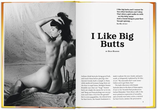 Produktbild: The Little Big Butt Book