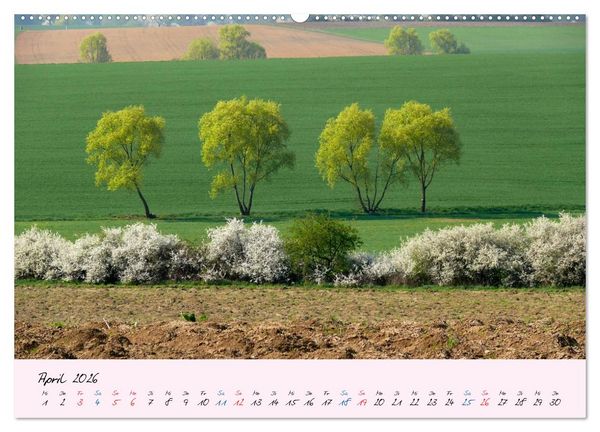 Produktbild: Wald und Baum 2026 (hochwertiger Premium Wandkalender 2026 DIN A2 quer), Kunstdruck in Hochglanz