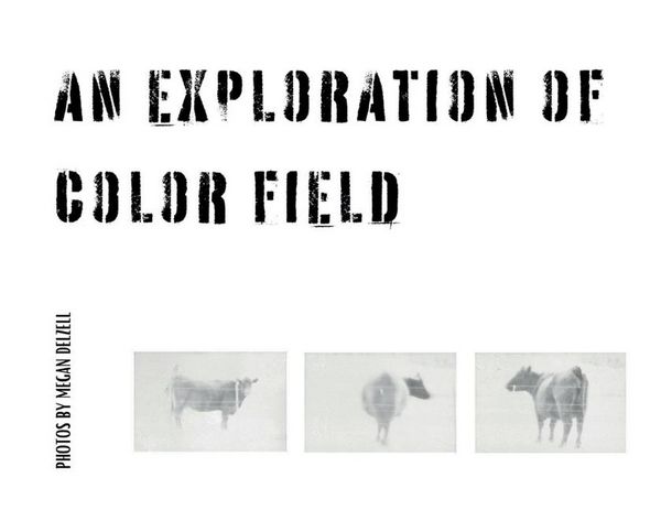 Produktbild: An Exploration In Color Field