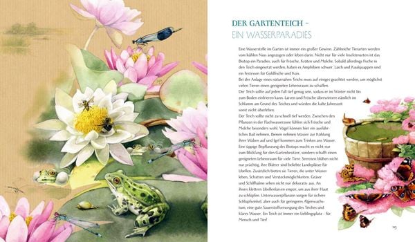 Produktbild: Schmetterling, Hummel und Maik&auml;fer