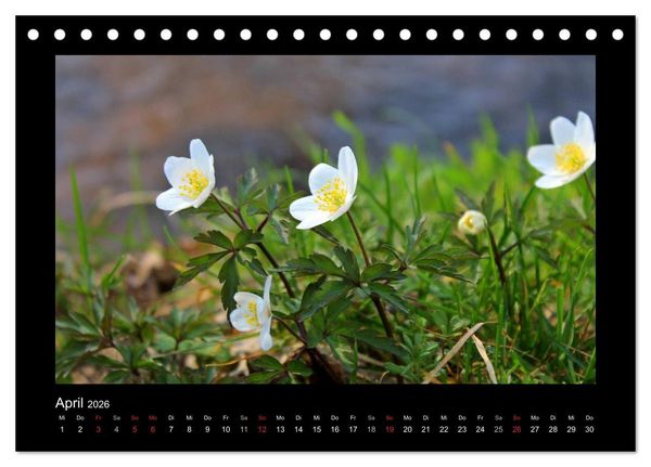 Produktbild: Landschaft Teufelsmoor / 2026 (Tischkalender 2026 DIN A5 quer), CALVENDO Monatskalender