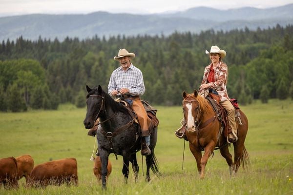 Produktbild: Heartland - Paradies f&uuml;r Pferde - Staffel 16 [4 DVDs]