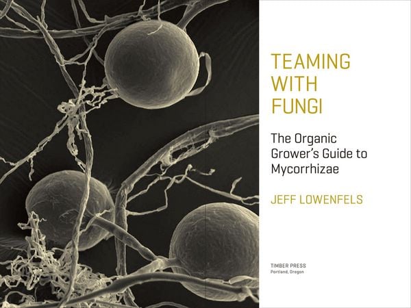 Produktbild: Teaming with Fungi