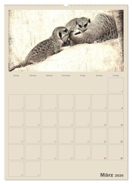 Produktbild: Lustige Erdm&auml;nnchen (Wandkalender 2026 DIN A2 hoch), CALVENDO Monatskalender