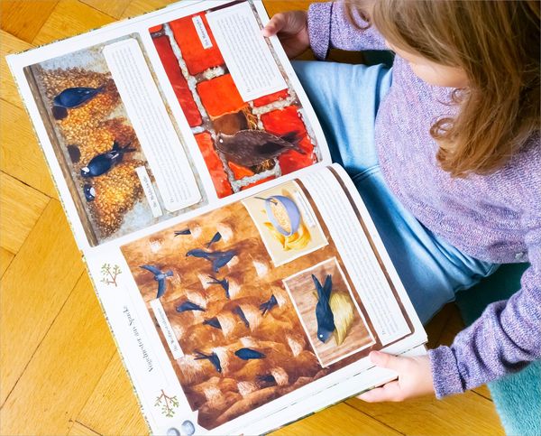 Produktbild: Tierisch gut gebaut &ndash; Von Nestern, H&ouml;hlen und anderen Tierwohnungen