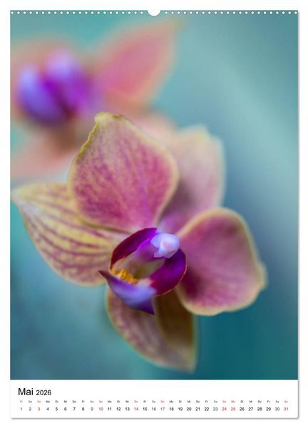 Produktbild: Orchideen (hochwertiger Premium Wandkalender 2026 DIN A2 hoch), Kunstdruck in Hochglanz