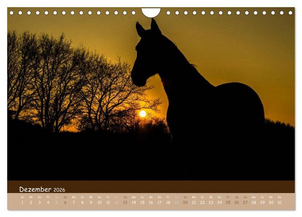 Produktbild: Mit Pferden durch&acute;s Jahr (Wandkalender 2026 DIN A4 quer), CALVENDO Monatskalender