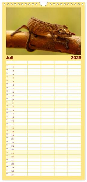 Produktbild: Familienplaner 2026 - Tierisch tolles Madagaskar - Cham&auml;leons, Lemuren und mehr mit 5 Spalten (Wandkalender, 21 x 45 cm) CALVENDO