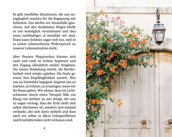 Produktbild: Sch&ouml;nheit l&auml;dt uns ein
