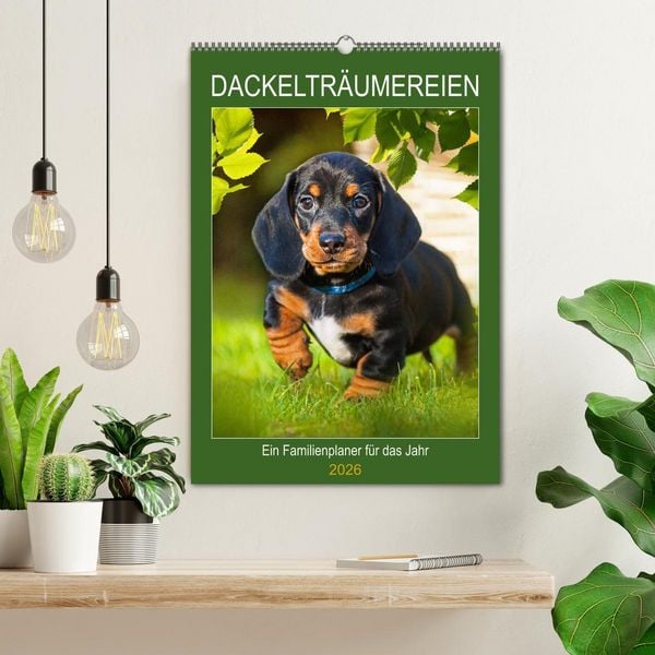 Produktbild: Dackeltr&auml;ume - Ein Familienplaner f&uuml;r das Jahr (Wandkalender 2026 DIN A2 hoch), CALVENDO Monatskalender
