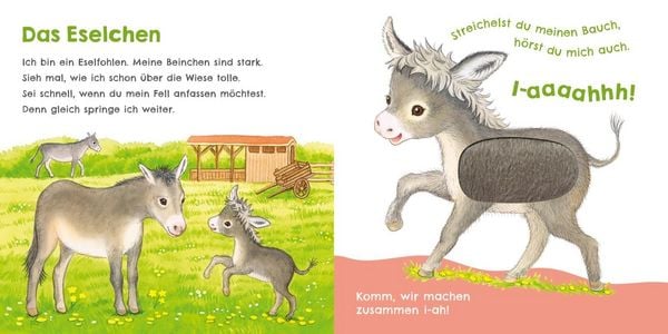 Produktbild: H&ouml;r mal, wie ich miauen kann (Mein erstes Streichel-Soundbuch 2)