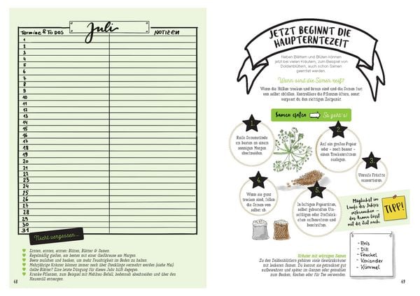 Produktbild: Mein Kr&auml;uter-Jahr - Das informative Bullet Journal - Monat f&uuml;r Monat