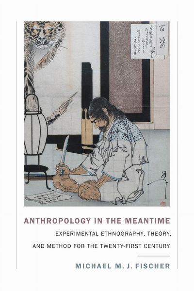 Produktbild: Anthropology in the Meantime