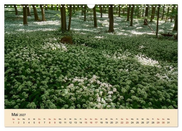 Produktbild: Franken - eine Region voller Naturwunder (Wandkalender 2027 DIN A3 quer), CALVENDO Monatskalender