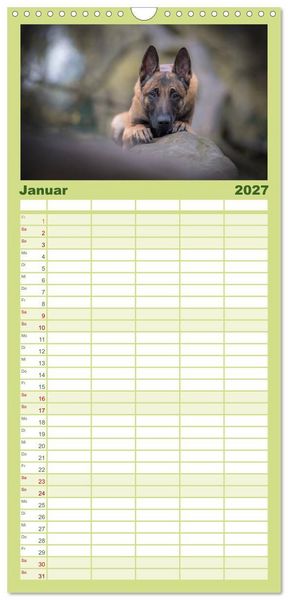 Produktbild: Familienplaner 2027 - Belgischer Sch&auml;ferhund - Der Malinois mit 5 Spalten (Wandkalender, 21 x 45 cm) CALVENDO