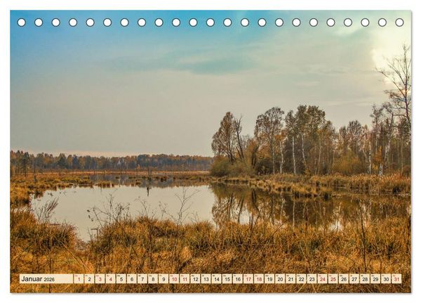Produktbild: Herbst im Schwenninger Moos (Tischkalender 2026 DIN A5 quer), CALVENDO Monatskalender