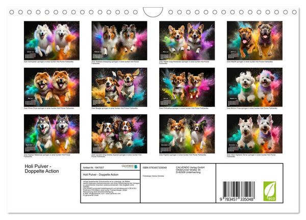 Produktbild: Holi Pulver - Doppelte Action (Wandkalender 2026 DIN A4 quer), CALVENDO Monatskalender