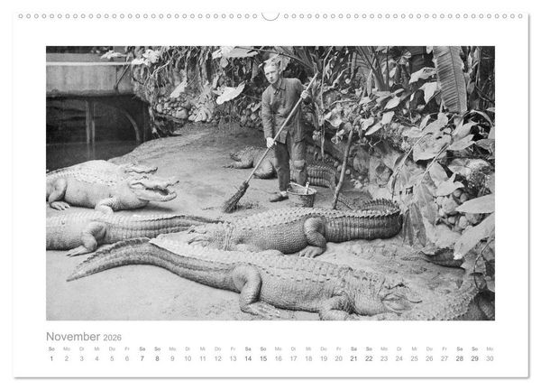 Produktbild: Leben in Berlin um 1900 &ndash; Fotografie von Haeckel (Wandkalender 2026 DIN A2 quer), CALVENDO Monatskalender
