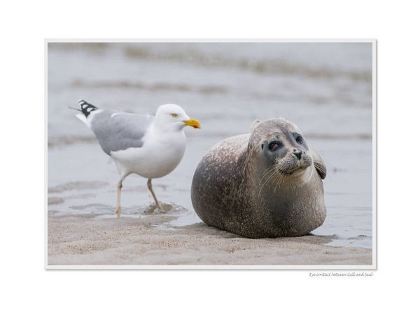 Produktbild: CALVENDO Puzzle Ein Motiv aus dem Kalender Emotional Moments: Heligoland - Insel in der Nordsee. / UK-Version | 1000 Teile Lege-Gr&ouml;&szlig;e 64x48cm Foto-Puzzle f&uuml;r gl&uuml;ckliche Stunden