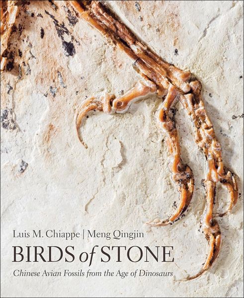 Produktbild: Birds of Stone