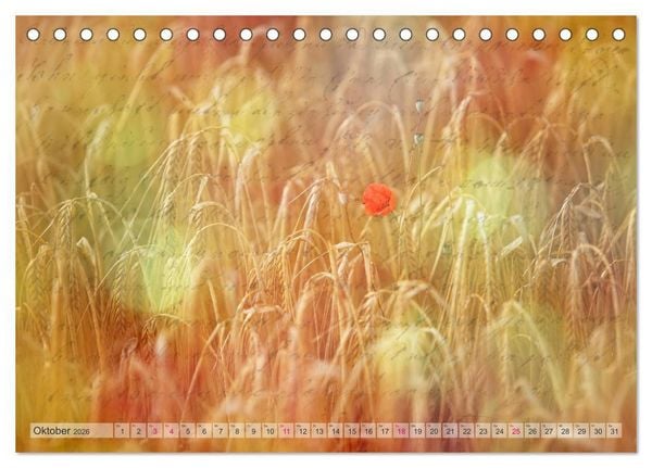 Produktbild: Vintage Nature - Romantische Naturaufnahmen (Tischkalender 2026 DIN A5 quer), CALVENDO Monatskalender