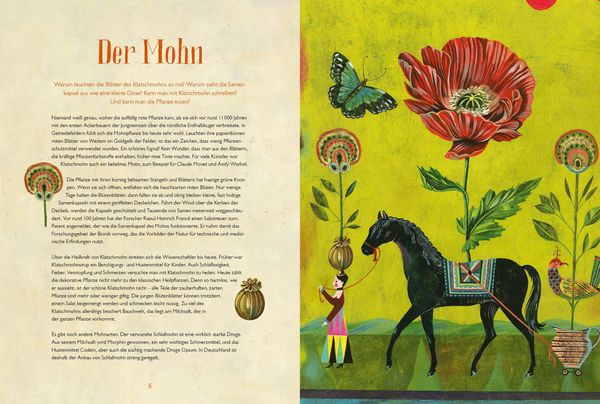 Produktbild: Olaf Hajeks Buch der Blumen