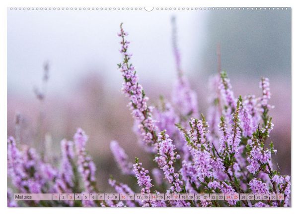 Produktbild: Wunderbare Heidelandschaften (hochwertiger Premium Wandkalender 2026 DIN A2 quer), Kunstdruck in Hochglanz